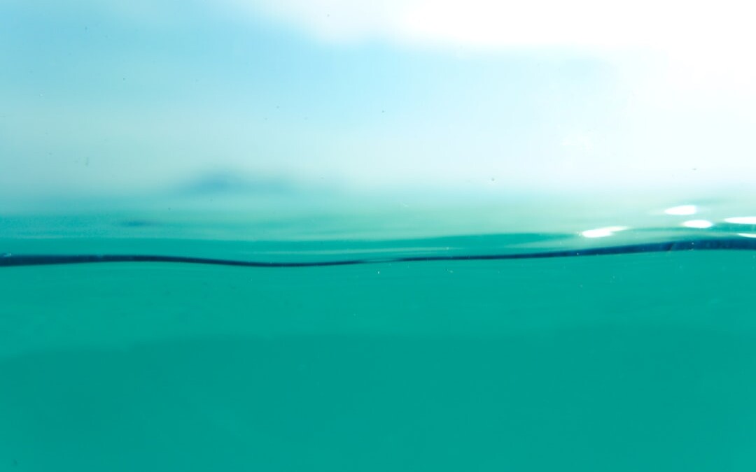 Photo Water test strips