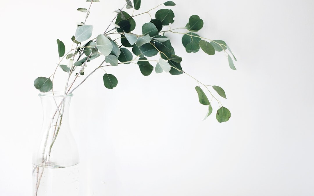 Photo Desalination plant