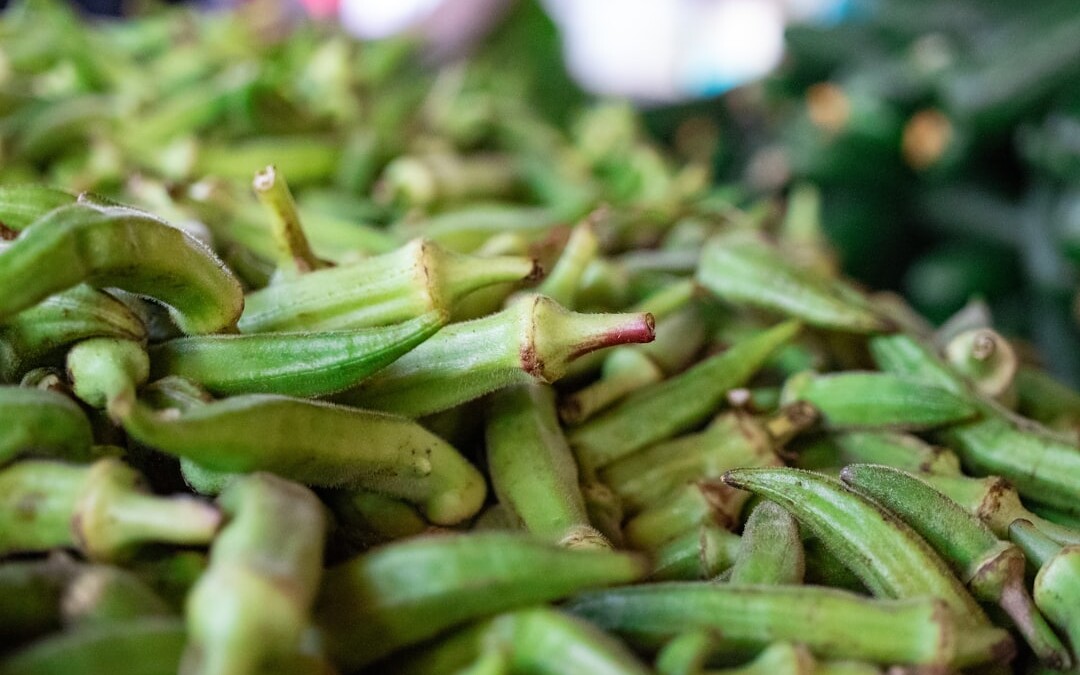 Photo Okra pods