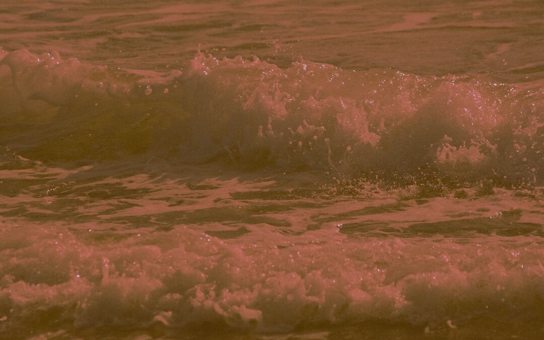 Photo Brown water
