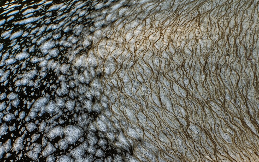 Photo Water pollution